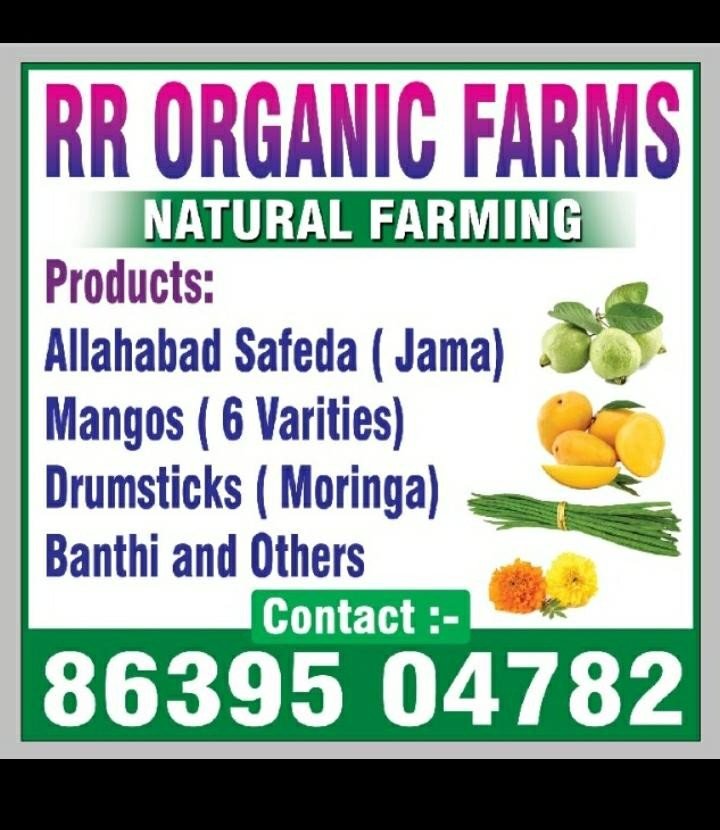R R Organic Farms