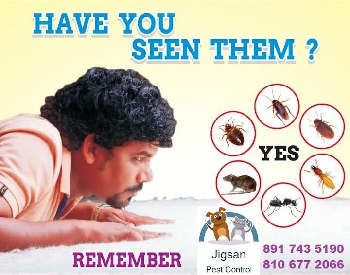 Jigsan Pest Control 