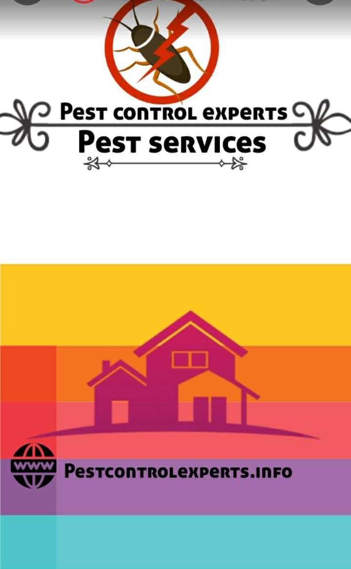 Pest Control Experts 