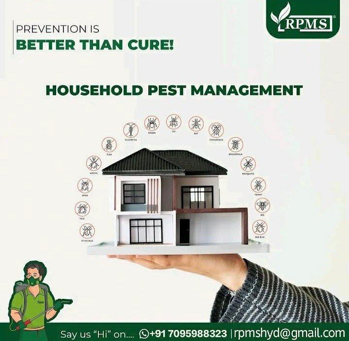 Regular Pest Management Solutions 