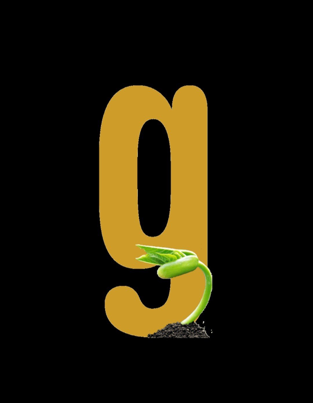 Good Seeds Conscious Space 