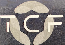 TCF The Concept Flair 