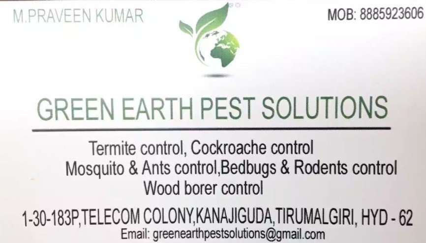 Green Earth Pest Solutions 